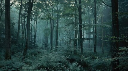 Obraz premium A forest brimming with numerous towering trees, especially green ones, amidst a sea of tall trees