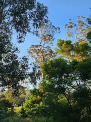 Bendeela Recreation Area in New South Wales Australia