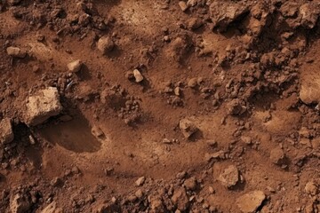 Obraz premium Soil outdoors nature rock.