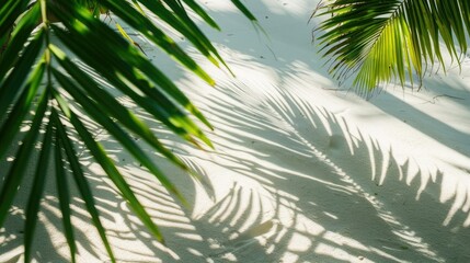 A tropical beach with pure white sand, palm tree leaves casting soft shadows, and sunlight filtering through the leaves. 