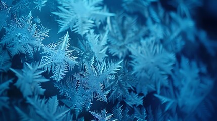 frosty pattern on window