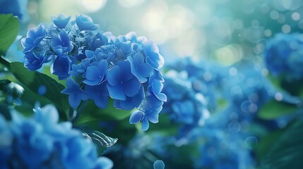 coral reef in aquarium