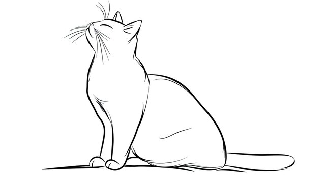 recommend clip art: A simple line drawing of a cat sitting gracefully.