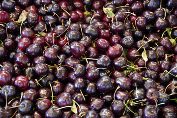 Fresh organic sweet red cherries