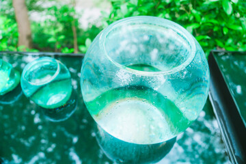 夏の京都の美しい庭園