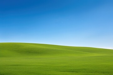 Obraz premium Perfect green meadow backgrounds landscape outdoors.
