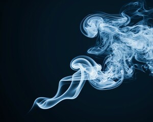 Fototapeta premium Smoke in abstract spiral forms, organic shapes, mysterious and captivating