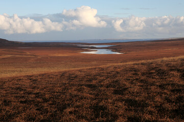Dunnet head coastal walk - peninsula in Caithness - most northerly point of the mainland of Great Britain - Caithness - Scotland - UK