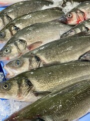 fresh fish on ice