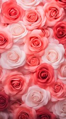 Obraz premium Rose backgrounds flower petal.