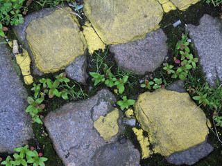 Details yellow line on a cobbled street - Off Regent Quay - Aberdeen city - Scotland - UK