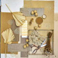 color palette in neutral beige tones, mood board, collage for interior design and decoration
