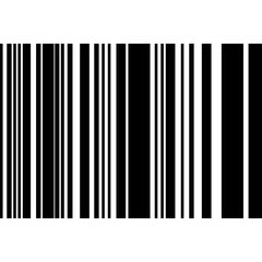 Barcode Icon