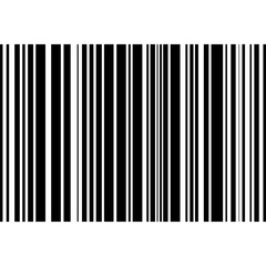 Barcode Icon