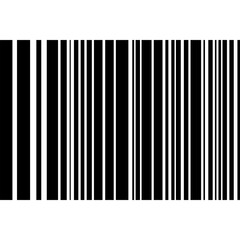 Barcode Icon