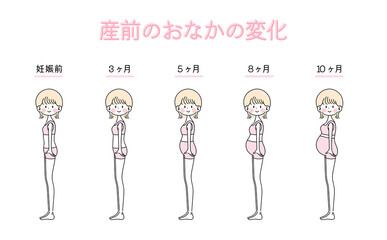 妊娠さんの体の変化【全身下着イラストセット】