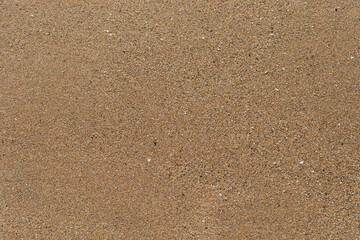 Fototapeta na wymiar Beach sand texture with small pieces of broken shells.