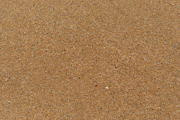 Beach sand texture with small pieces of broken shells.