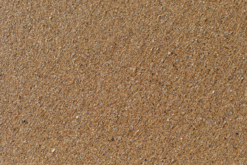 Beach sand texture with small pieces of broken shells.