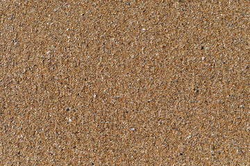 Beach sand texture with small pieces of broken shells.