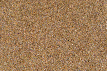 Uniform beach sand texture.