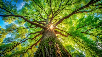 Obraz premium Vibrant greenery surrounds a towering tree, symbolizing the importance of preserving nature's beauty and promoting a healthy ecosystem on Earth Day and beyond.