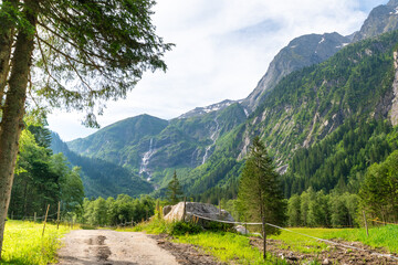 Serene Alpine Landscape with Lush Vegetation and Zemmbach Waterfall
