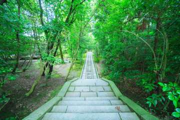 曇りの唐招提寺の庭園