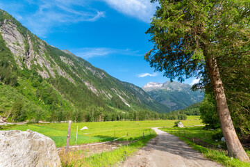 Peaceful Mountain Valley: Zillertal Hiking Trail