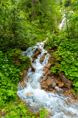 Fototapeta premium Serene Alpine Landscape with Lush Vegetation and Zemmbach Waterfall