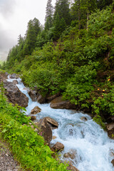 Serene Alpine Landscape with Lush Vegetation and Zemmbach Waterfall