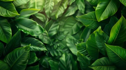 Lush Jungle Foliage on Vibrant Green Background - Energetic and Realistic Banner Design