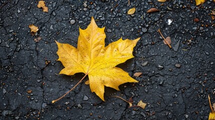 Leaf on ground is yellow