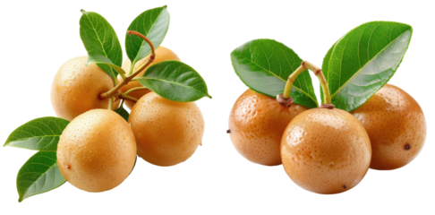 Yellow Sapote, Cluster of ripe sapotes with leaves, Sweet Tropical Fruit on a transparent background.