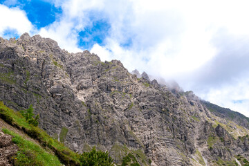 Alpine Wilderness: Lush Meadows and Rocky Peaks