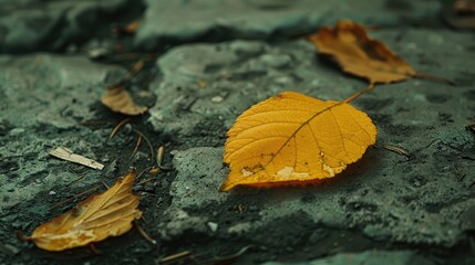 Leaf on ground is yellow