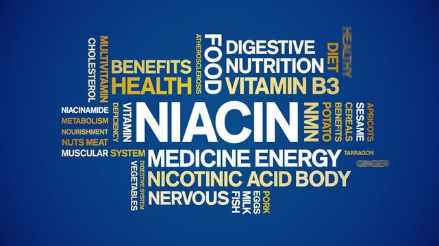 Niacin animated word cloud;text design animation tag kinetic typography seamless loop.