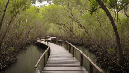 Nature view high quality images