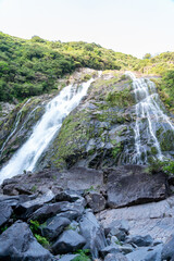 屋久島の大川の滝