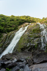 Obraz premium 屋久島の大川の滝
