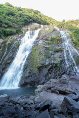 屋久島の大川の滝