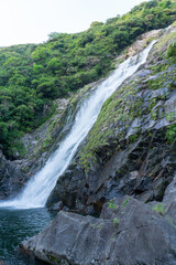 屋久島の大川の滝