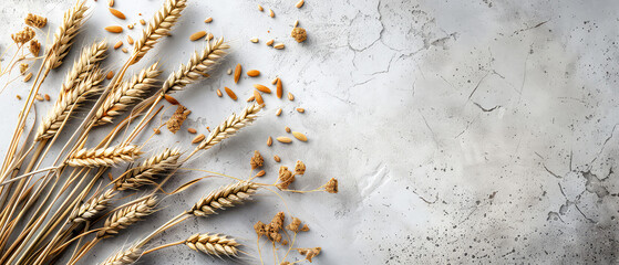Harvest festival concept. Fall mockup with golden dry wheat, grain, herbs on textured background. Lammas day composition. Autumn Layout with copy space. Generative ai	