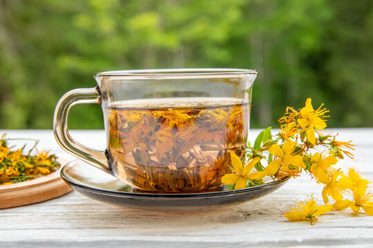 Hypericum perforatum commonly known as St John's wort, perforate St John's wort or common St John's wort herbal tea in glass on white wood board background.