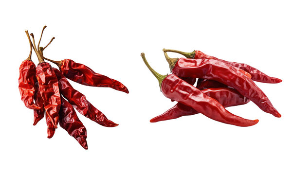 Hot red dried chili peppers Set. Isolated on Background