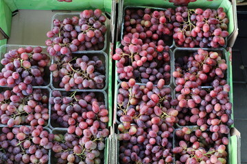 Vegetables and fruits are sold at a bazaar in Israel.