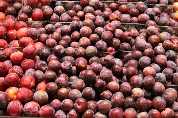 Vegetables and fruits are sold at a bazaar in Israel.