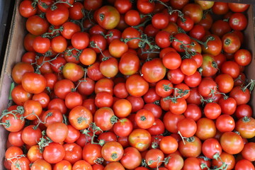Vegetables and fruits are sold at a bazaar in Israel.