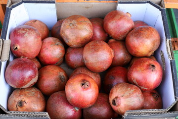 Vegetables and fruits are sold at a bazaar in Israel.