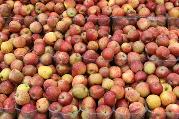Vegetables and fruits are sold at a bazaar in Israel.